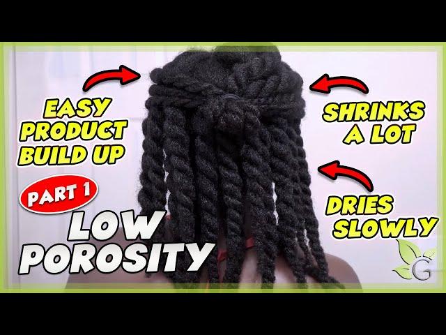Is your hair LOW POROSITY? How to know + Care tips (Part 1)