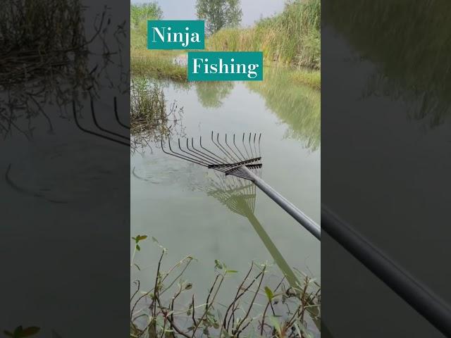 Ninja New Fishing Video Fishing with Norm,fishing,shorts,reels,fishing video