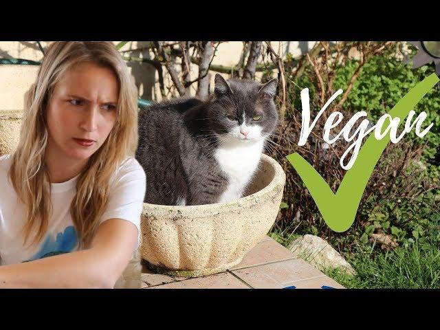 Converting my Cat to a Vegan Diet