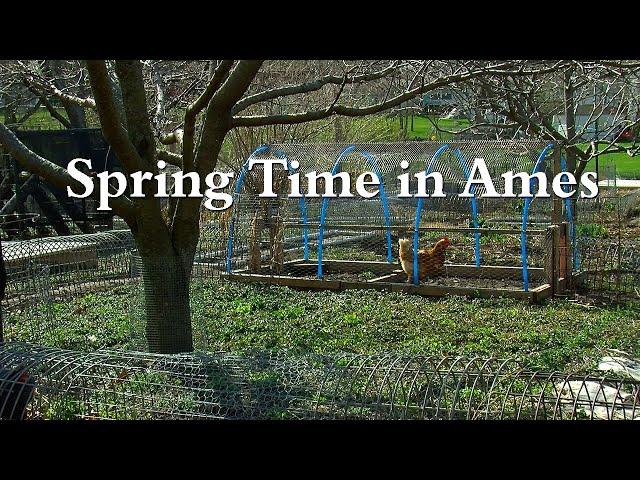 Spring Time in Ames