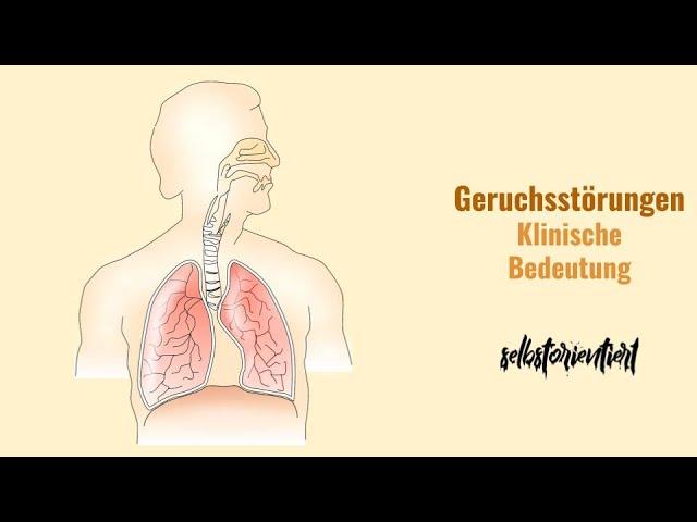 Anosmie, Hyposmie, Hyperosmie & Dysosmie einfach erklärt! - Klinische Bedeutung von Geruchsstörungen