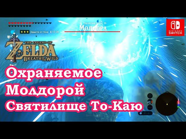 Охраняемое Молдорой Святилище То Каю. Tho Kayu Shrine. The Legend of Zelda: Breath of the Wild.