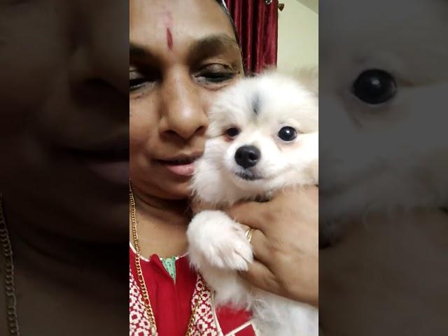 Mom and pet ###pom