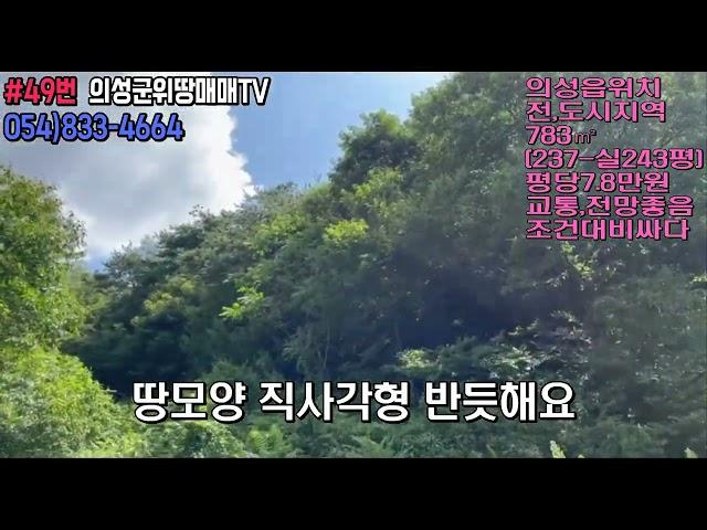 #49번 의성군위땅매매TV 소자본으로 명당!내땅! 1900만원/#의성부동산#군위부동산#가음땅#춘산땅#귀농귀촌#주말농장#싼땅#농가주택#임야#자연인#묘터