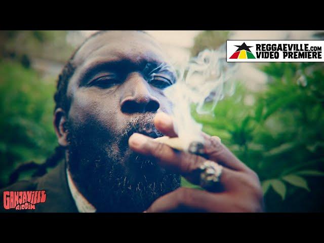 Chezidek - Herb Dealer [Ganjaville Riddim | Official Video 2023]