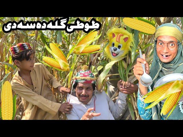 Tuti Gulla Da Sa De  || New Funny Video 2024 by Bebe Vines Plus