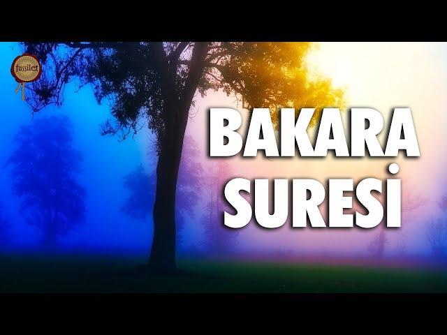 Bakara Suresi | Evdeki Geçimsizliğe, Huzursuzluğa, Sıkıntılarınıza Şifa - Eyad Mohra