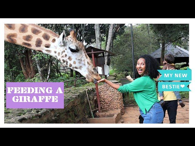 THINGS YOU NEED TO KNOW ABOUT GIRAFFES//Wongel Zelalem