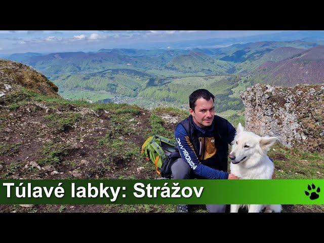 Túlavé labky: Strážov (Strážovské vrchy)