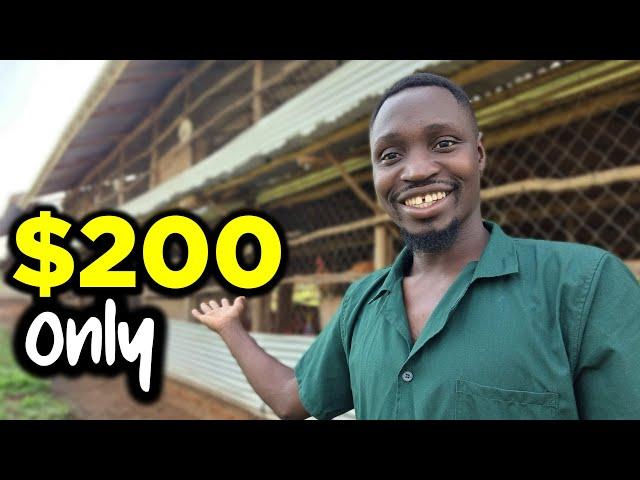 How to Start a Poultry Farm with ONLY $200