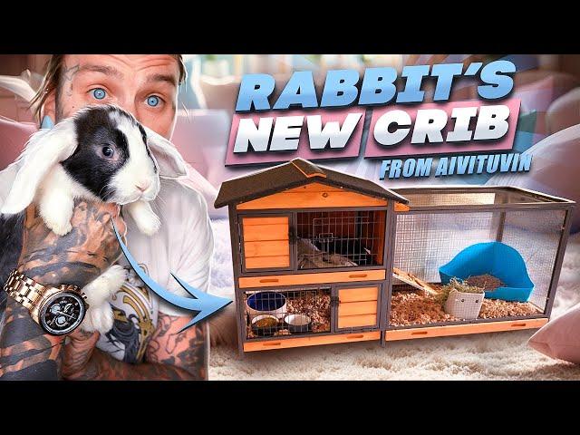 The BEST ONLINE Rabbit Enclosures | Aivituvin Habitats