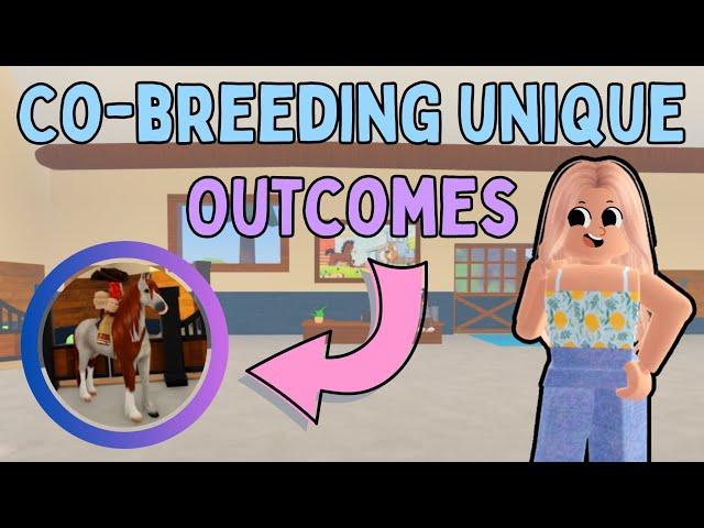 How to Get All *CO-BREEDING UNIQUE OUTCOMES* + What They Look Like | Wild Horse Islands