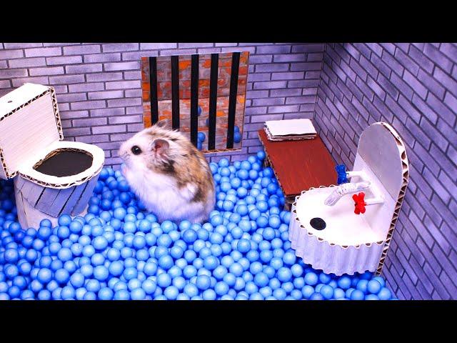 Hamster escapes the awesome maze for Pets in real life  in Hamster stories Part 2