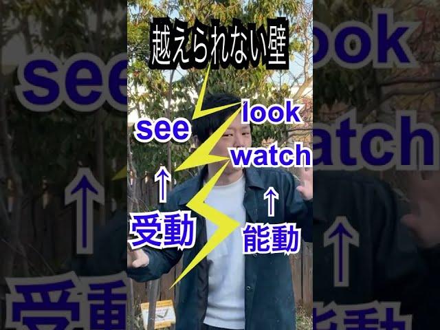 look watch see の違い！ 1分でわかる中学英語#shorts
