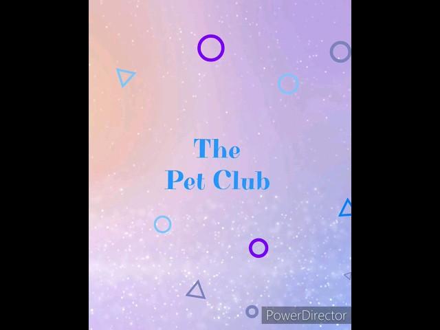 The Pet Club!! #shorts #pets #petclub #introduction