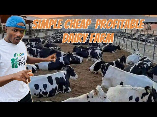 How to start a simple,cheap and profitable dairy farm