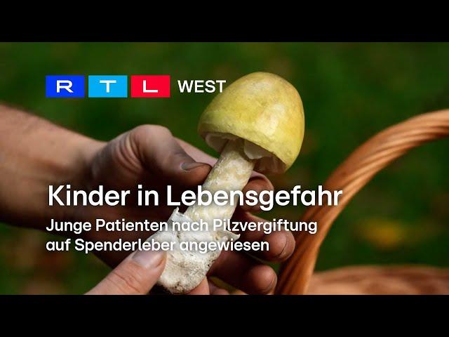 Kinder nach Pilzvergiftung in Lebensgefahr und auf Spenderleber angewiesen | RTL WEST, 16.10.2024