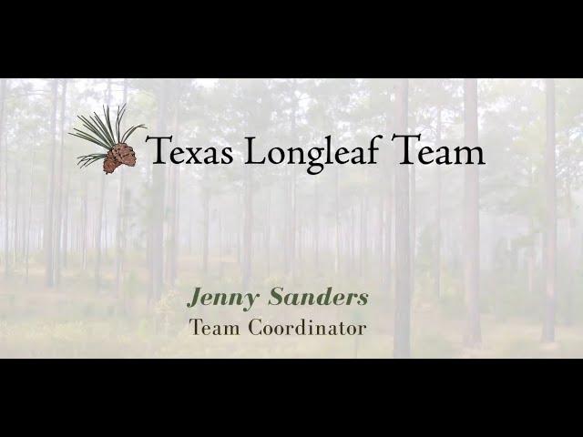 Wildlife Diversity Webinar Series - Texas Longleaf Team