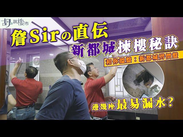 和你搵盤：新都城劈價盤詹Sir親授新都城揀樓秘訣️邊幾座最易漏水｜將軍澳｜十大屋苑｜胡‧說樓市