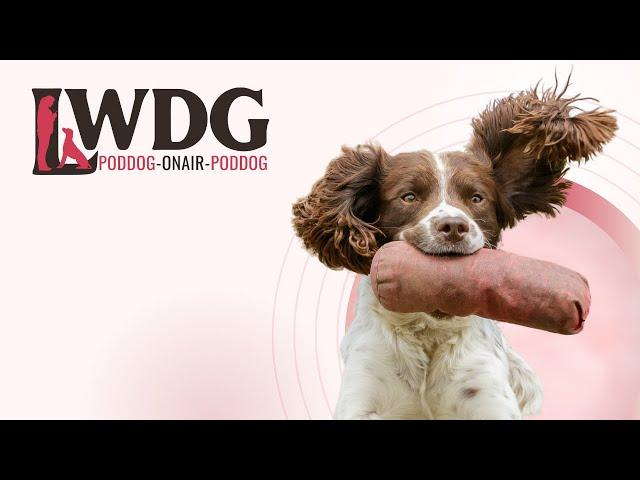 LWDG POD DOG - How To Reset A Training Exercise: Helping Dogs Learn Through Patience and Repetition