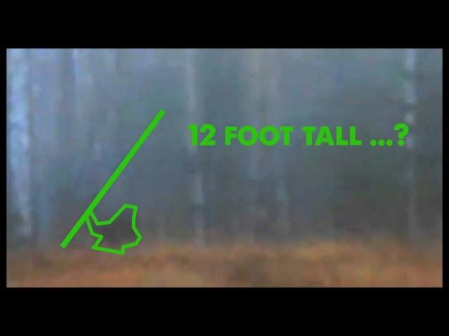 Bigfoot Throwing a Tree - NEW FOOTAGE!!! (ThinkerThunker)