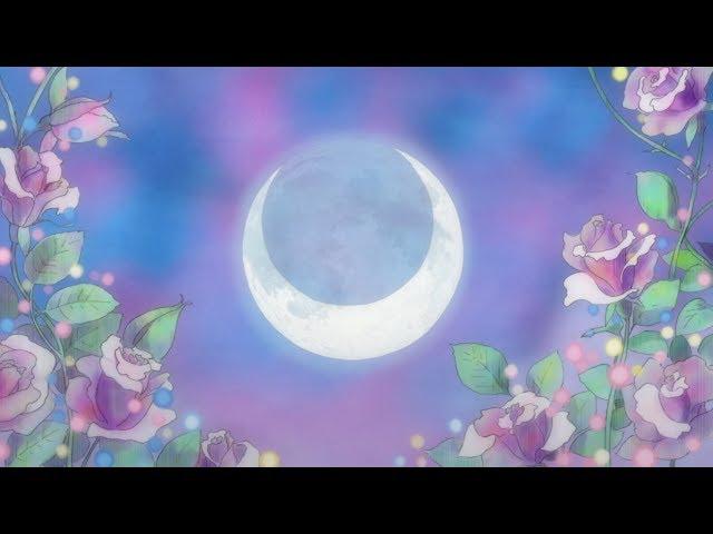 Sailor Moon Fandub~ Chibi Usa's Debut