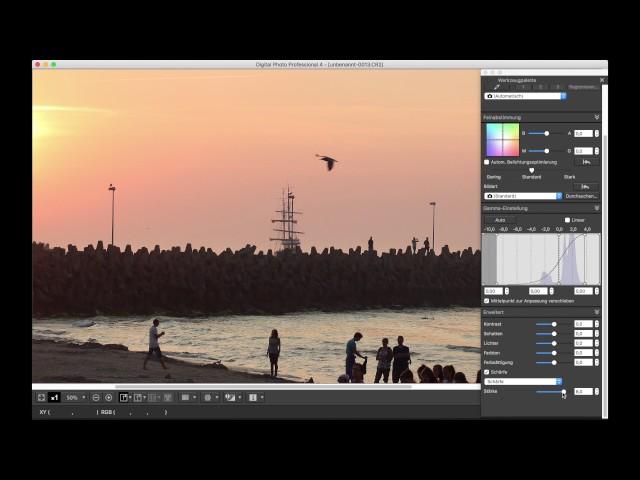 RAW Fotos bearbeiten mit DPP 4 | + Bilder richtig schärfen in Lightroom | EINSTEIGER-TUTORIAL