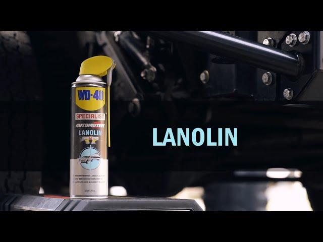 How to use WD-40 Specialist Automotive Lanolin