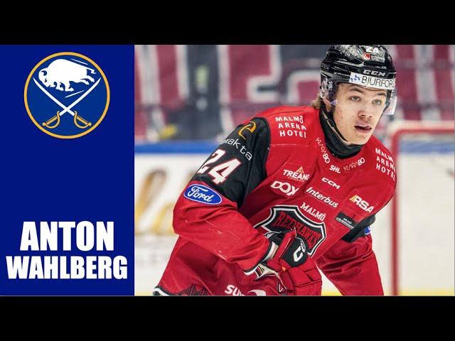 NHL Prospects : Anton Wahlberg - 23-24 Highlights