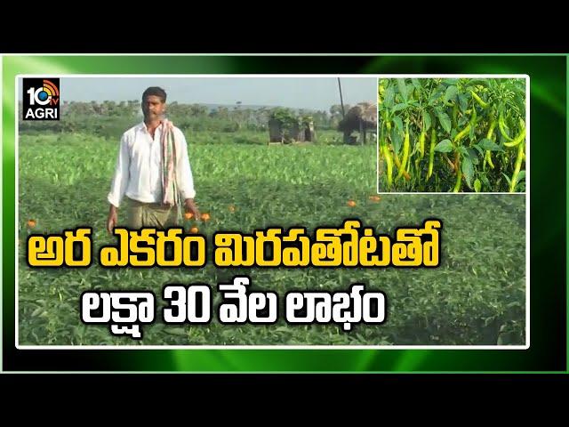 అర ఎక‌రం మిర‌ప‌తోట‌తో ల‌క్షా 30 వేల లాభం | High Profits in Mirchi Cultivation | Matti Manishi | 10TV