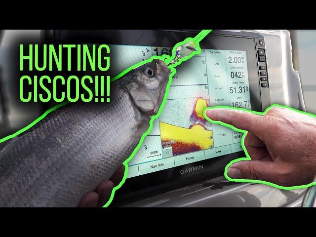 Grand Traverse Bay's Cisco Fishing Hotspots