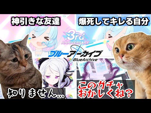 周年ガチャ(確率２倍)で大爆死する話 #猫マニ #猫ミーム