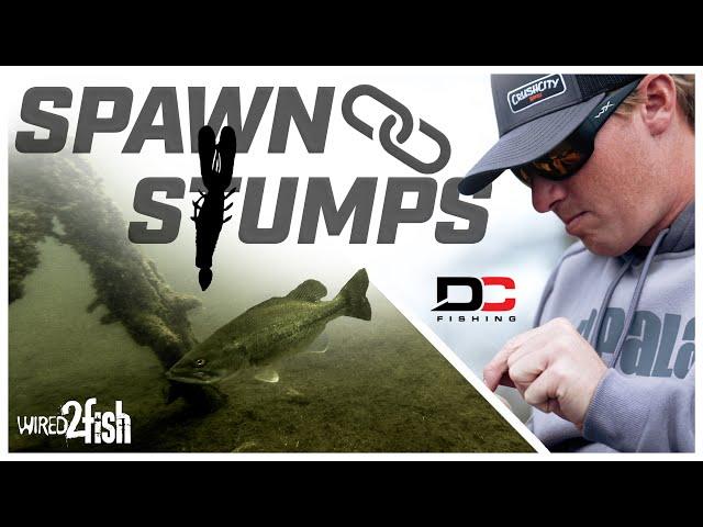 Pitching Stumps for Big Springtime Bass with Dustin Connell