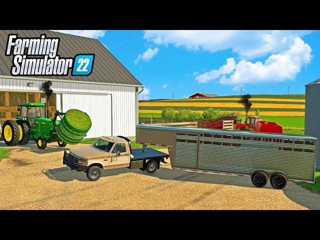 Starting a $2,500,000 Cattle Farm | Farming Simulator 22