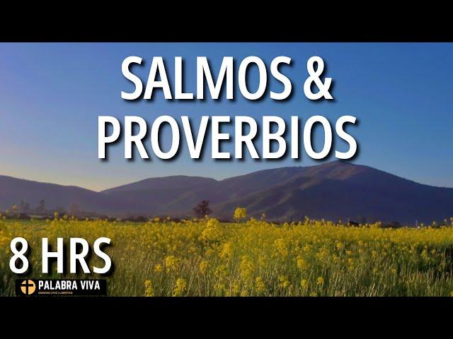 Salmos y Proverbios para dormir en paz | calma la ansiedad | 8 HRS