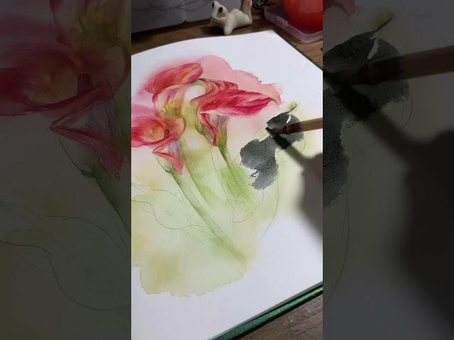 Step by step in Callca Lily. #art #painting #watercolour #watercolor #drawing #callalily