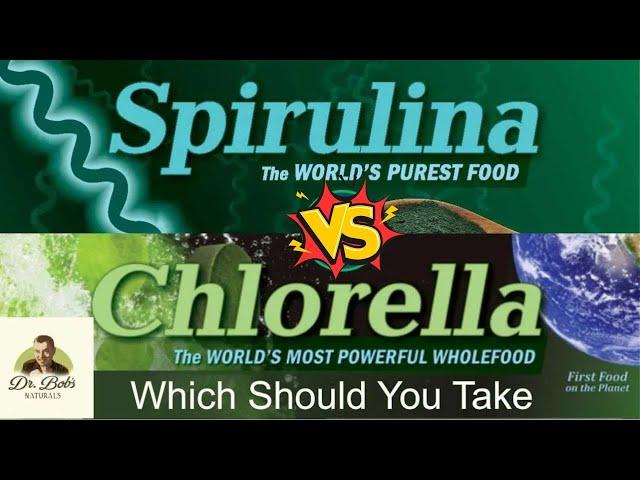 Chlorella  or Spirulina? The Ultimate Superfood Showdown!||DrBobMcCauley 