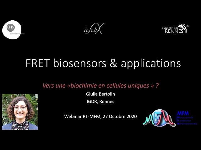 FRET biosensors and applications