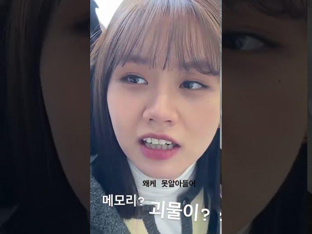 찰떡같이 말해도 개떡같이 알아듣는 혜리
