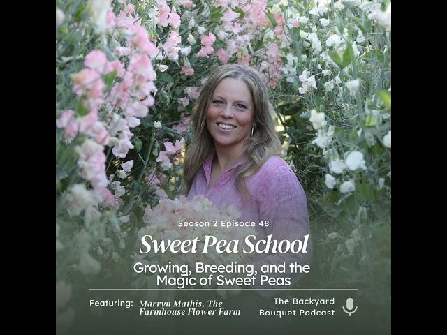 Ep. 48: Sweet Pea School: Marryn Mathis on Growing, Breeding, and the Magic of Sweet Peas