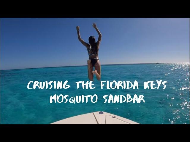 Discover Why Mosquito Bank Sandbar Key Largo is the Best of the Best in The Florida Keys