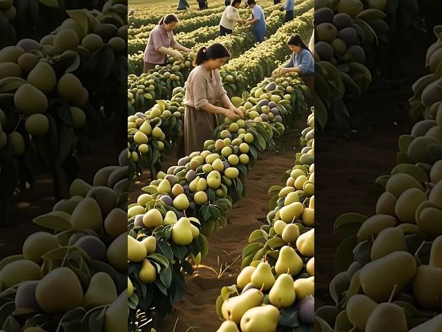 Popular fruits and demanding all taste fruits#fruit #nature #garden #gardening #vegetables