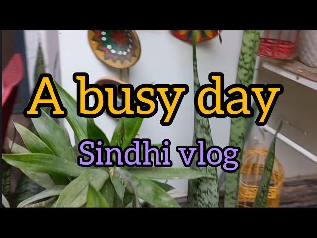 A busy day /my daily routine  🫕 ️🪡🪴🪣/sindhi vlog 