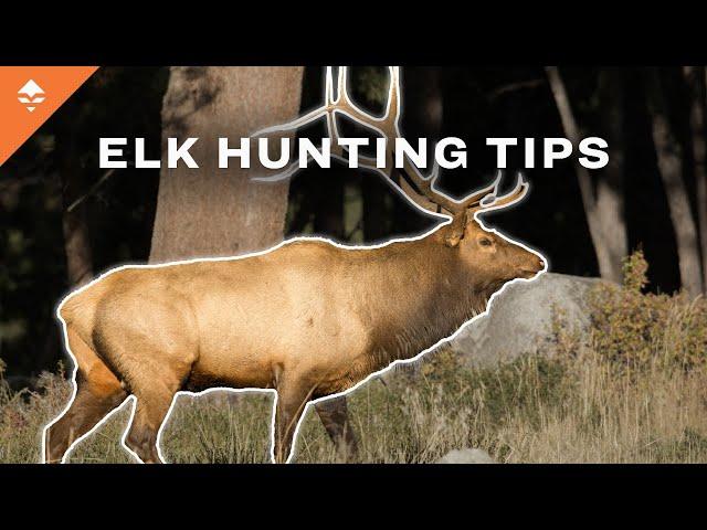 How To Find The BEST Elk Habitat