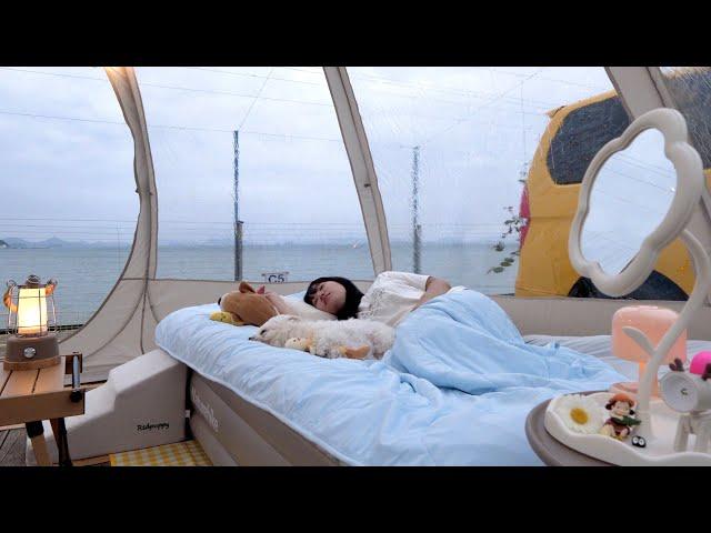 Camping cozy in an transparent tent with a 15-year-old cute dog / Korean girl's solo camping