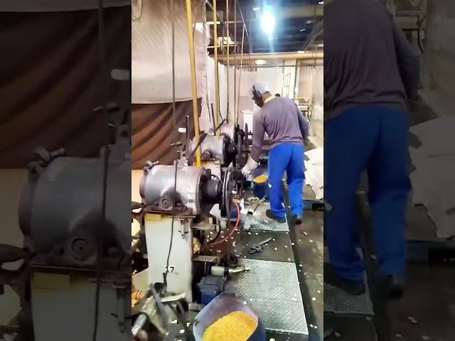This is how popcorn explodes at an industrial level!  #shorts
