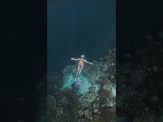 Girl in Red | Freediving  #freedivinglife #extremesport #shorts