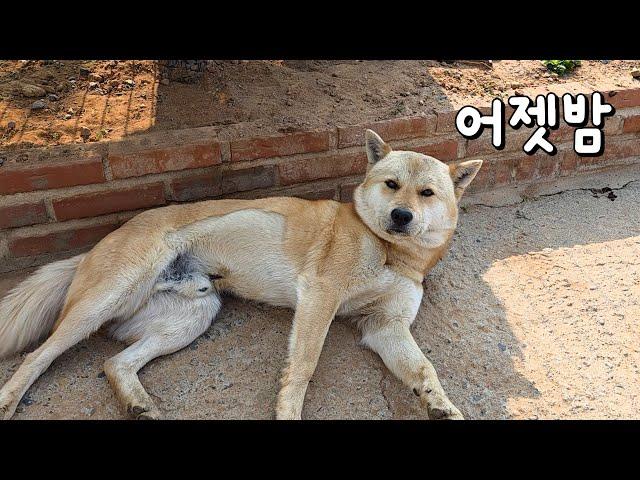 어제 무슨 일이 있었던 거야