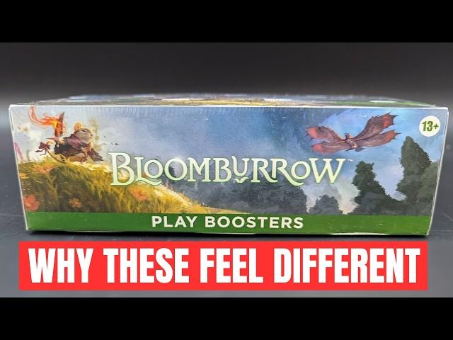 BIG Play Box Changes! Bloomburrow Play Box Opening #MTG Ships July 26