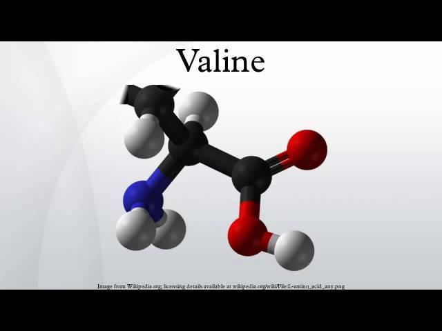 Valine